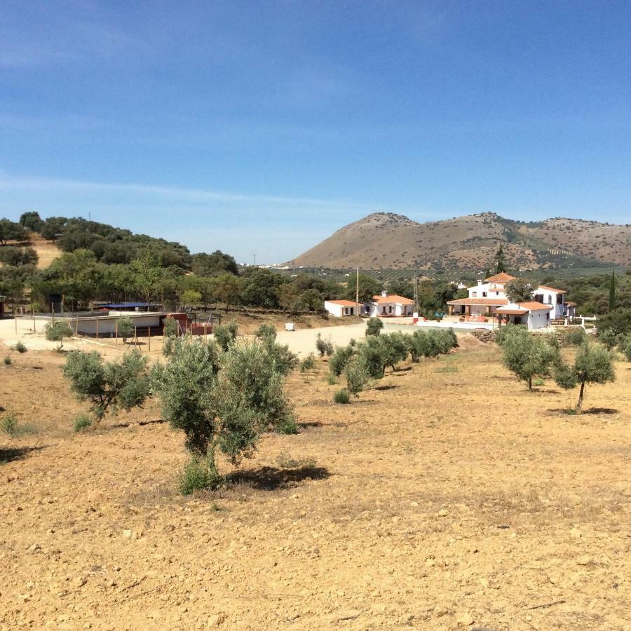 Гостевой дом Santa Marta Complejo Rural Con Pista De Padel Арчидона Экстерьер фото